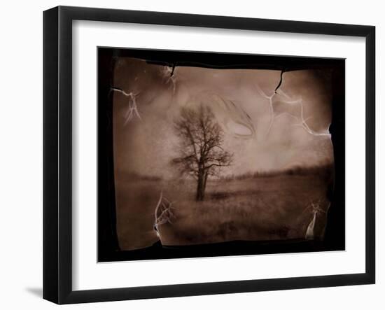 Hanging Tree-Jack Germsheld-Framed Premium Photographic Print