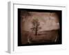 Hanging Tree-Jack Germsheld-Framed Premium Photographic Print