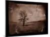 Hanging Tree-Jack Germsheld-Mounted Premium Photographic Print