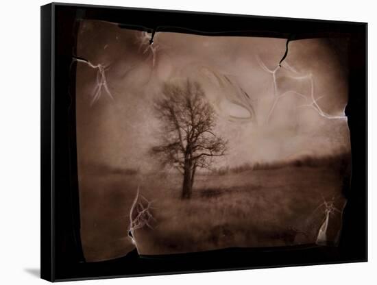 Hanging Tree-Jack Germsheld-Framed Stretched Canvas