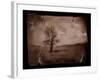 Hanging Tree-Jack Germsheld-Framed Photographic Print