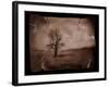 Hanging Tree-Jack Germsheld-Framed Photographic Print