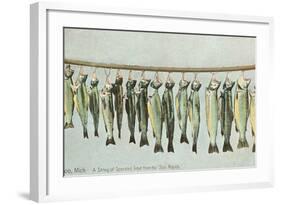 Hanging Trout, Soo Rapids, Michigan-null-Framed Art Print