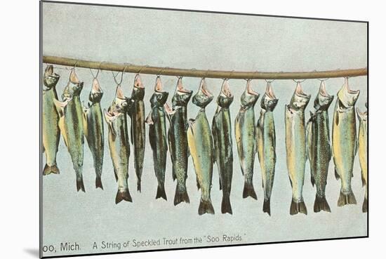 Hanging Trout, Soo Rapids, Michigan-null-Mounted Art Print