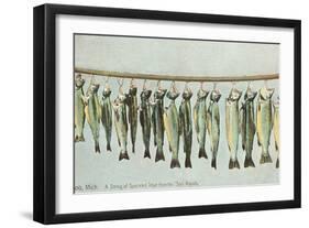 Hanging Trout, Soo Rapids, Michigan-null-Framed Art Print