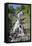 Hangloch Wasserfall, Todtnau, Black Forest, Baden-Wurttemberg, Germany-Markus Lange-Framed Stretched Canvas