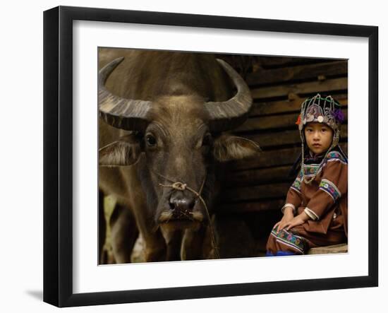 Hani Child and Water Buffalo for Ploughing Rice Paddies, Yuanyang, Honghe Prefecture, China-Pete Oxford-Framed Premium Photographic Print