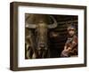 Hani Child and Water Buffalo for Ploughing Rice Paddies, Yuanyang, Honghe Prefecture, China-Pete Oxford-Framed Photographic Print