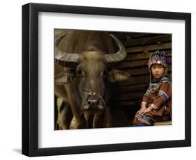 Hani Child and Water Buffalo for Ploughing Rice Paddies, Yuanyang, Honghe Prefecture, China-Pete Oxford-Framed Photographic Print