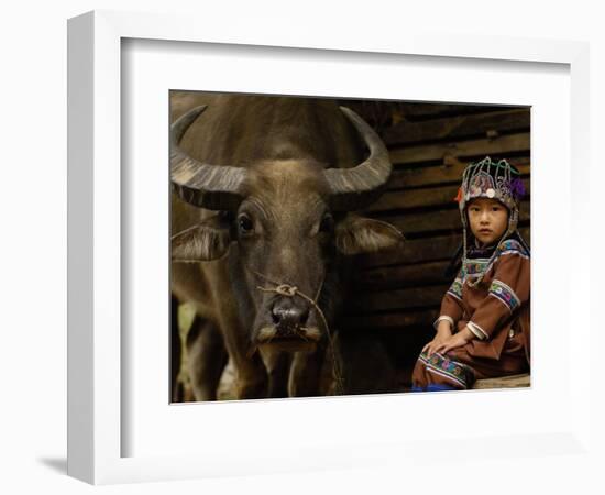 Hani Child and Water Buffalo for Ploughing Rice Paddies, Yuanyang, Honghe Prefecture, China-Pete Oxford-Framed Photographic Print