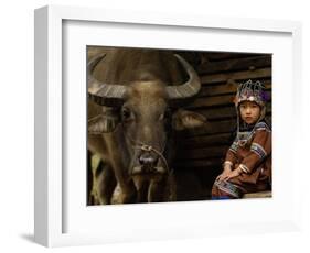 Hani Child and Water Buffalo for Ploughing Rice Paddies, Yuanyang, Honghe Prefecture, China-Pete Oxford-Framed Photographic Print