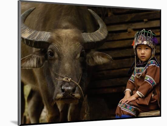 Hani Child and Water Buffalo for Ploughing Rice Paddies, Yuanyang, Honghe Prefecture, China-Pete Oxford-Mounted Photographic Print