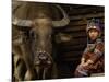 Hani Child and Water Buffalo for Ploughing Rice Paddies, Yuanyang, Honghe Prefecture, China-Pete Oxford-Mounted Photographic Print