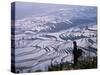 Hani Girl with Rice Terraces, China-Keren Su-Stretched Canvas