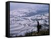 Hani Girl with Rice Terraces, China-Keren Su-Framed Stretched Canvas