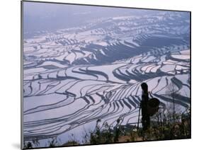 Hani Girl with Rice Terraces, China-Keren Su-Mounted Premium Photographic Print