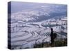 Hani Girl with Rice Terraces, China-Keren Su-Stretched Canvas