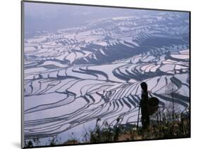 Hani Girl with Rice Terraces, China-Keren Su-Mounted Photographic Print