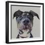 Hank 2-James Ruby-Framed Giclee Print