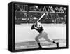 Hank Aaron (1934-)-null-Framed Stretched Canvas