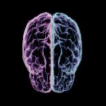 3D rendering of human head and brain with glow, top view on black background.-Hank Grebe-Art Print