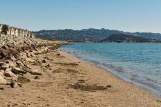 Bay Trail-Hank Shiffman-Photographic Print