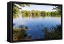 Framed Canvas
