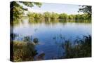 Stretched Canvas