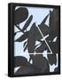 Essential Black