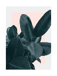 Fly Away-Hanna Kastl-Lungberg-Photographic Print