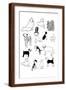 Brown Frame