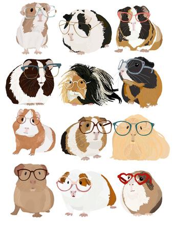 Guinea Pigs In Glasses