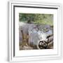 Chelsea White