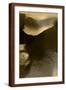 Brown Frame