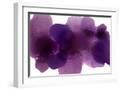 White Frame