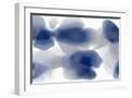 White Frame