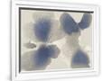 Gramercy White