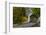 Hannah Covered Bridge spans Thomas Creek in Linn County, Oregon, USA-Chuck Haney-Framed Photographic Print