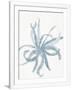 Gramercy White