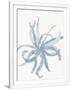 Gramercy White