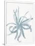 Gramercy White