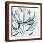 Brown Frame
