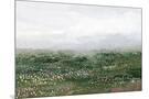 Wood Mount