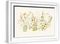 White Frame