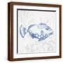 Brown Frame