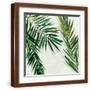 Brown Frame