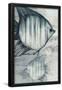 Essential Black