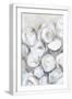 White Frame