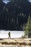 Man Skins On A Snowy Forest Service Road Next To The Gallatin River Near Big Sky, Montana-Hannah Dewey-Framed Photographic Print