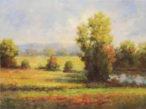 Red Meadow I-Hannah Paulsen-Art Print